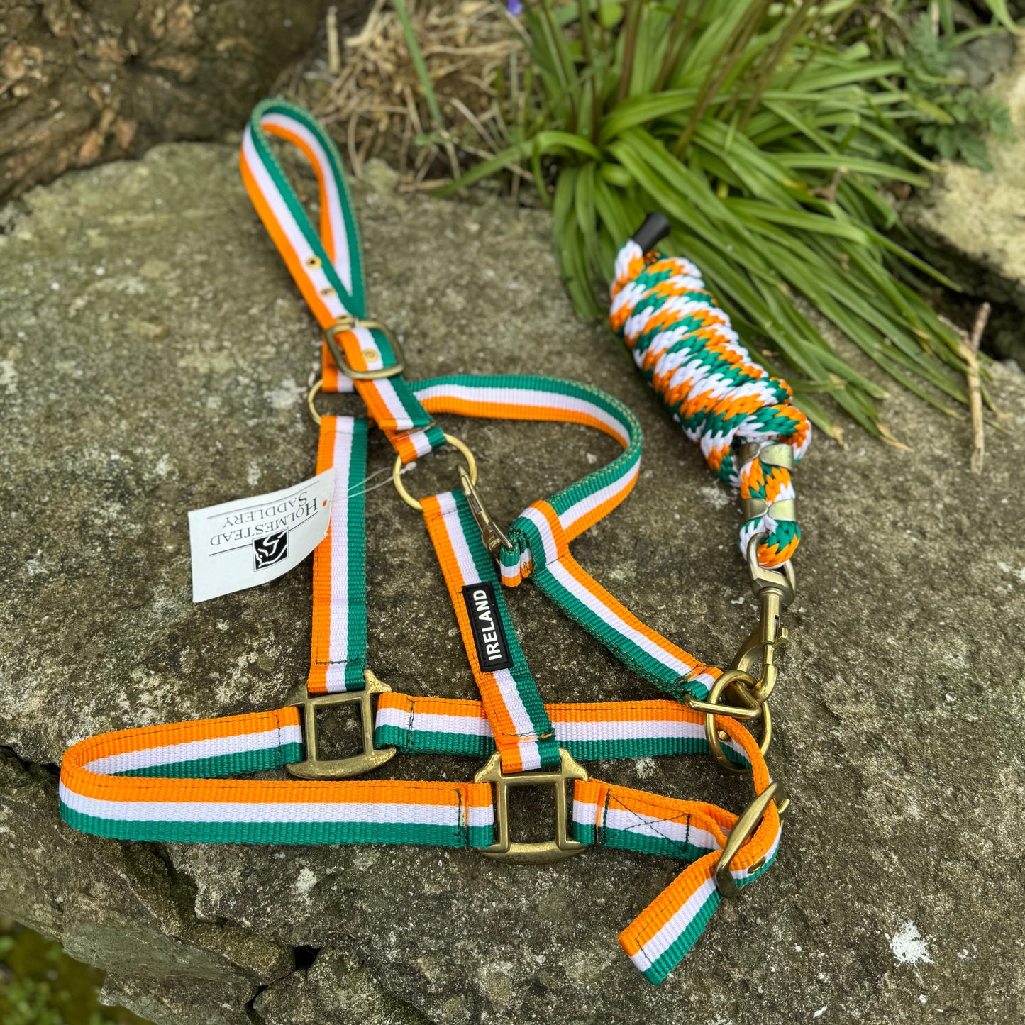 HS#0099 Ireland Head Collar With Lead Rope