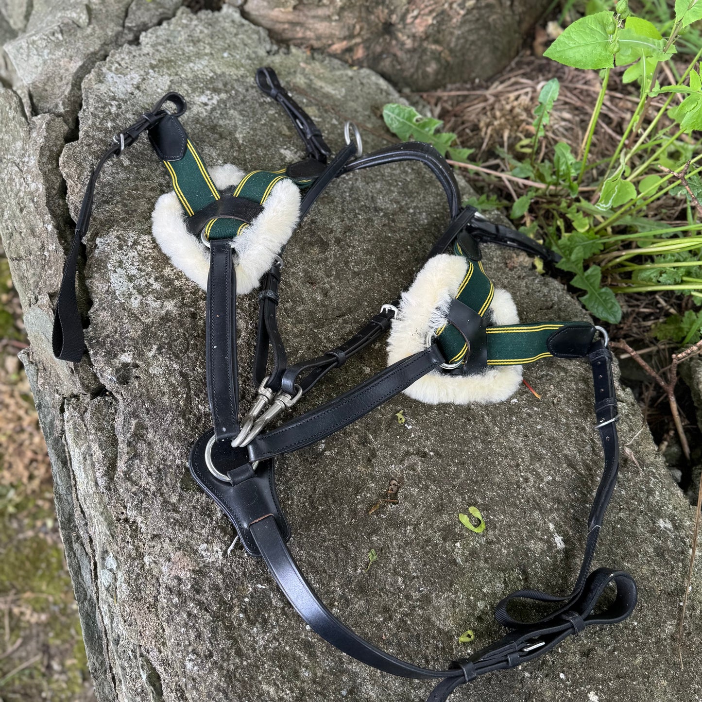 HS#0064 5 Point Breast Plate Pony