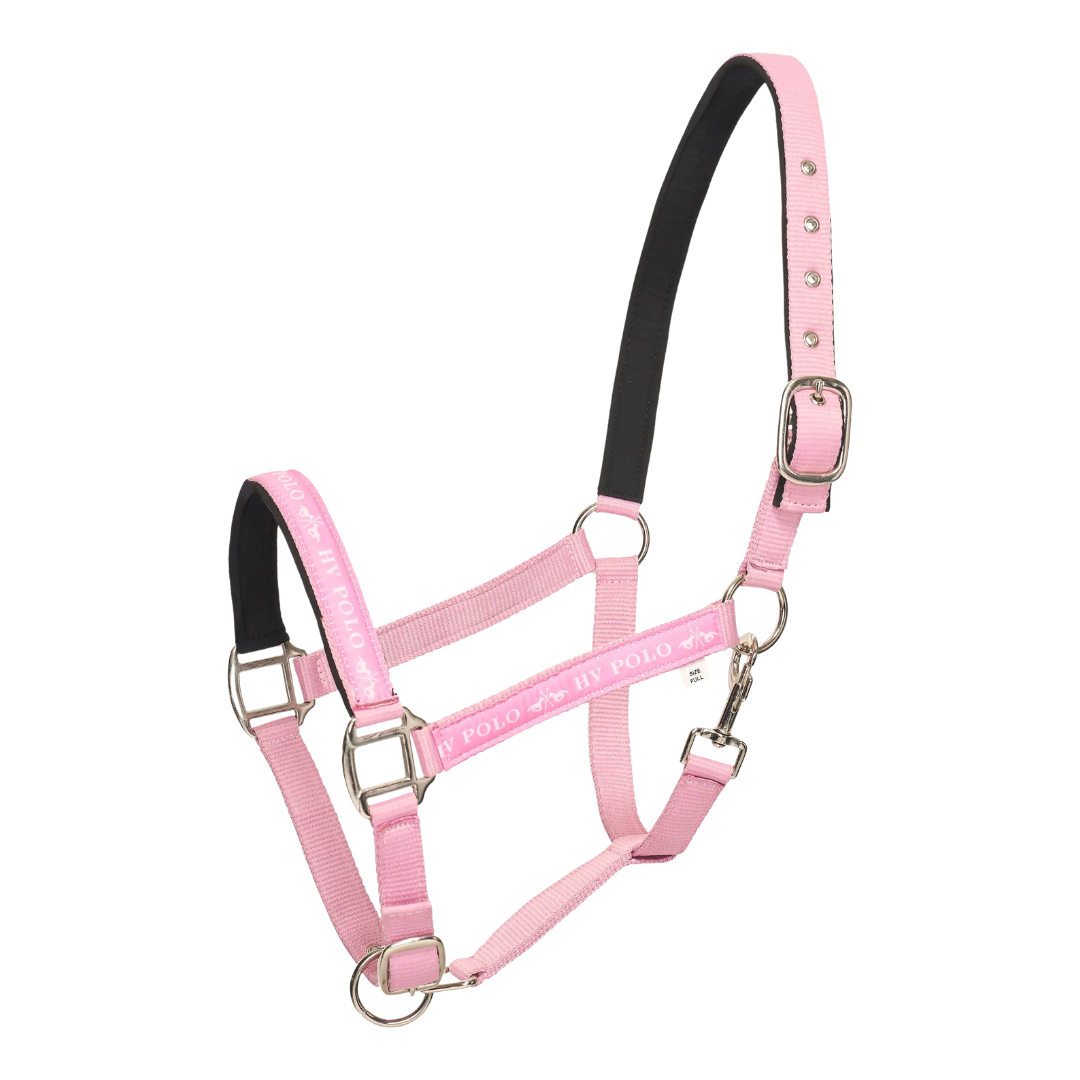 H.V. Polo Headcollar HVP Nena