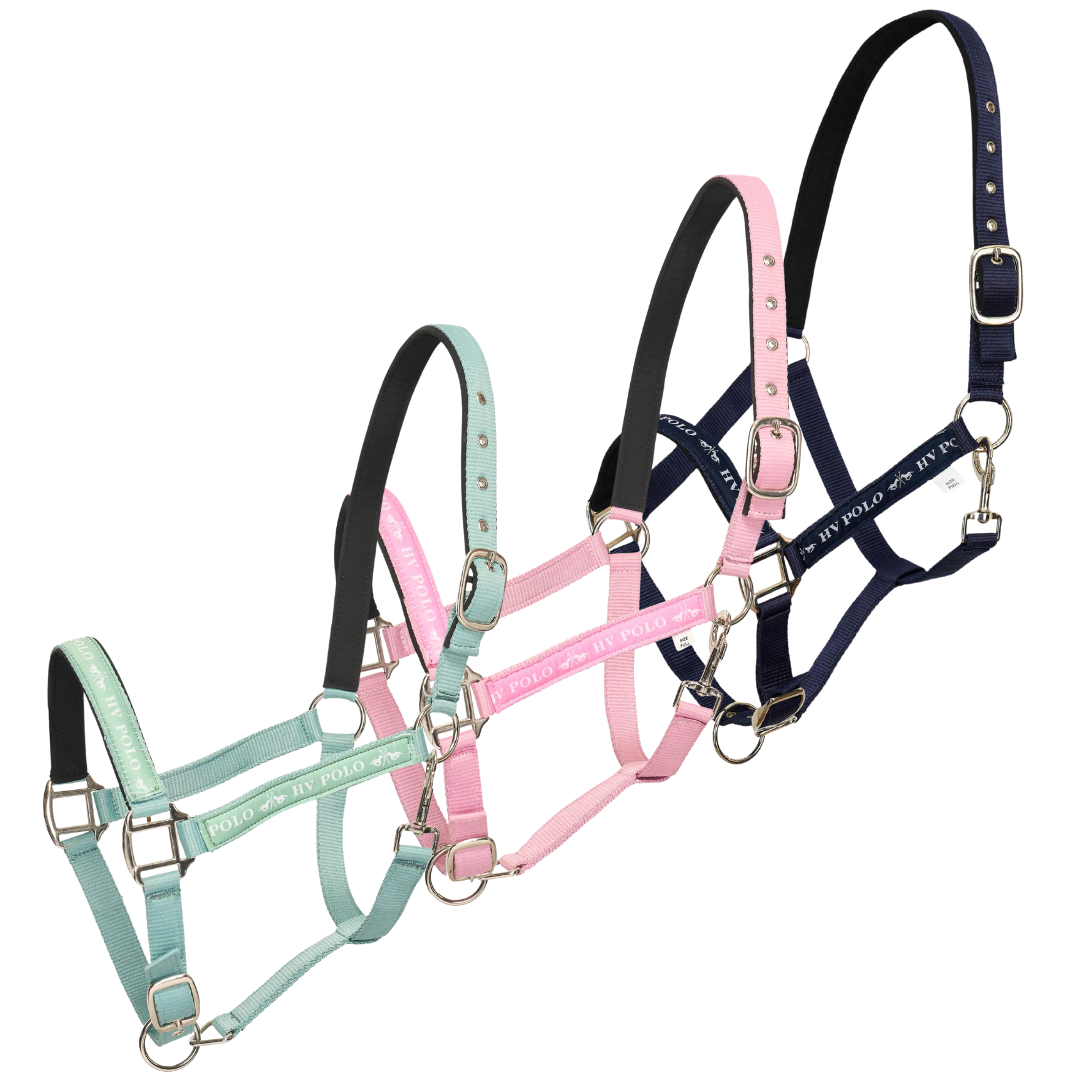H.V. Polo Headcollar HVP Nena