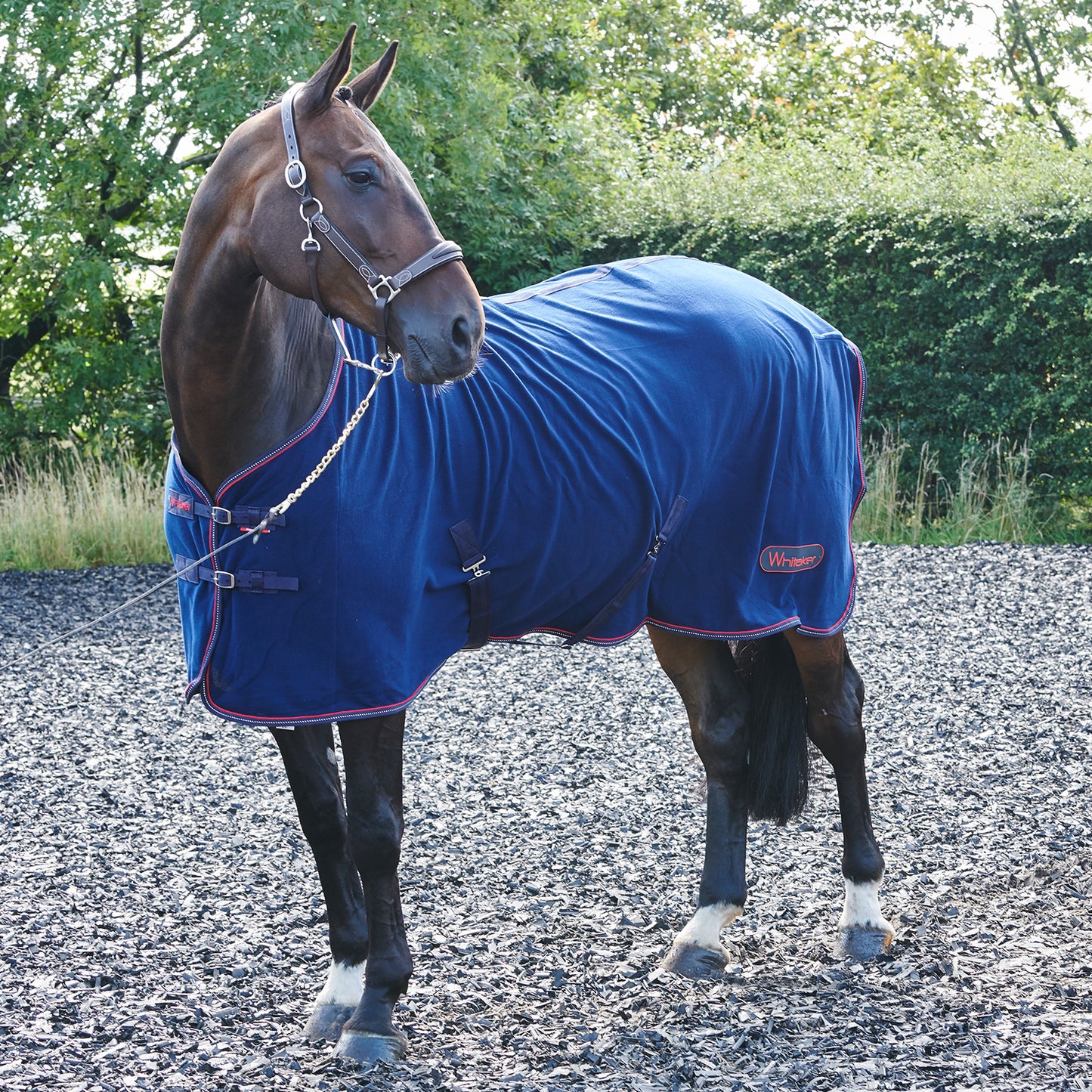 HS#0049 Whitaker Fleece Rug Cooler 7.0"