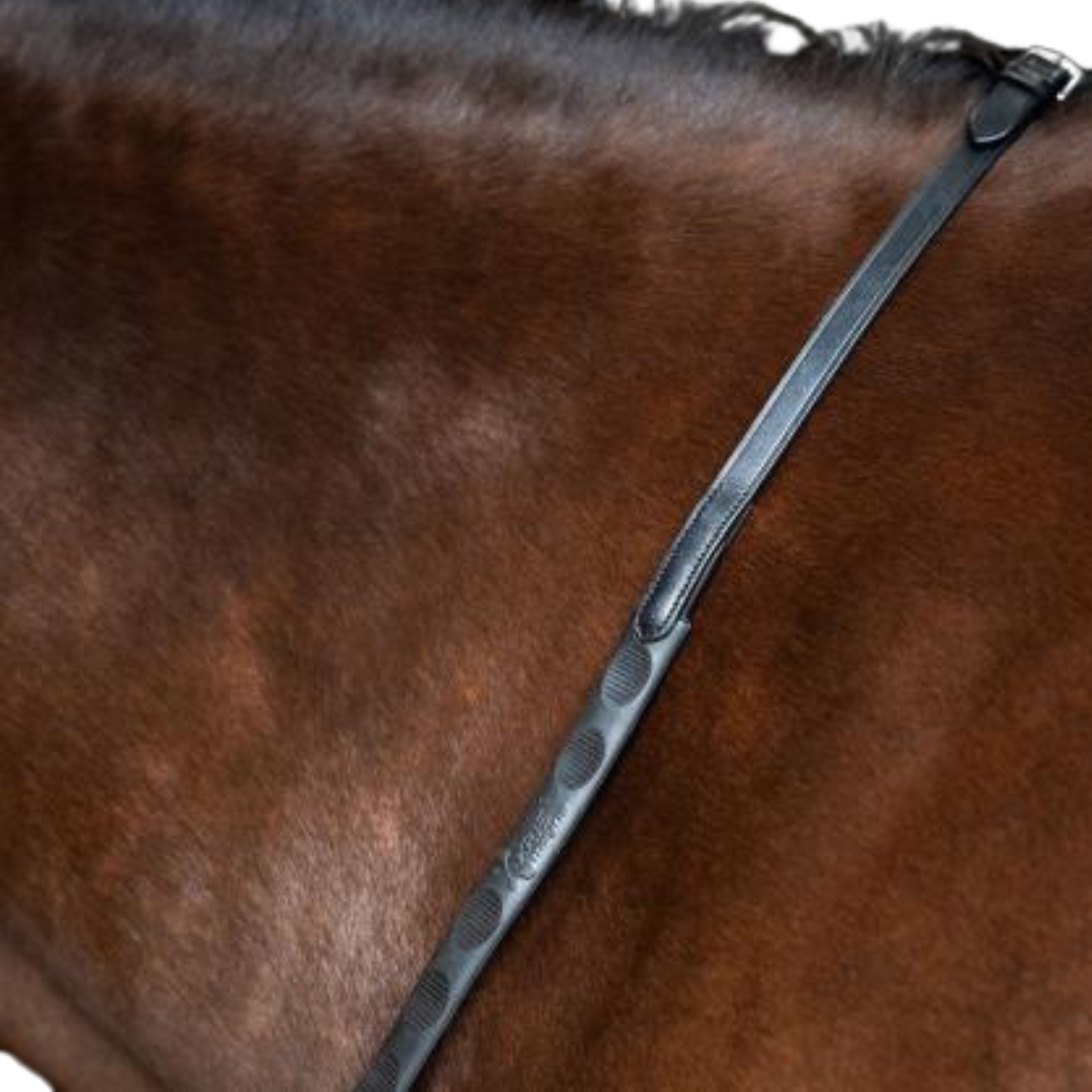 Imperial Riding Reins Rubber Thumb Grip