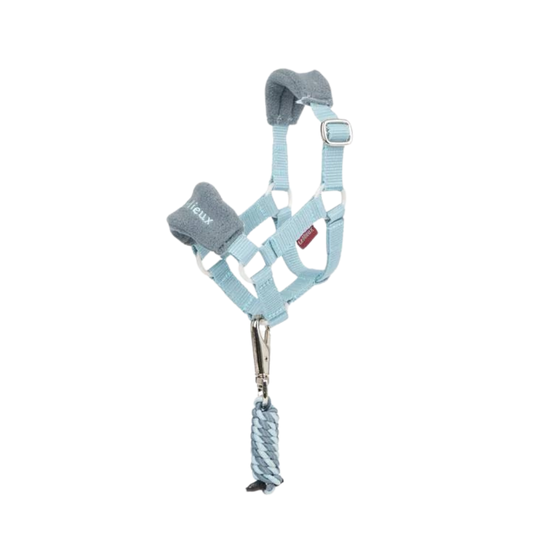 LeMieux Toy Pony Vogue Headcollar & Leadrope
