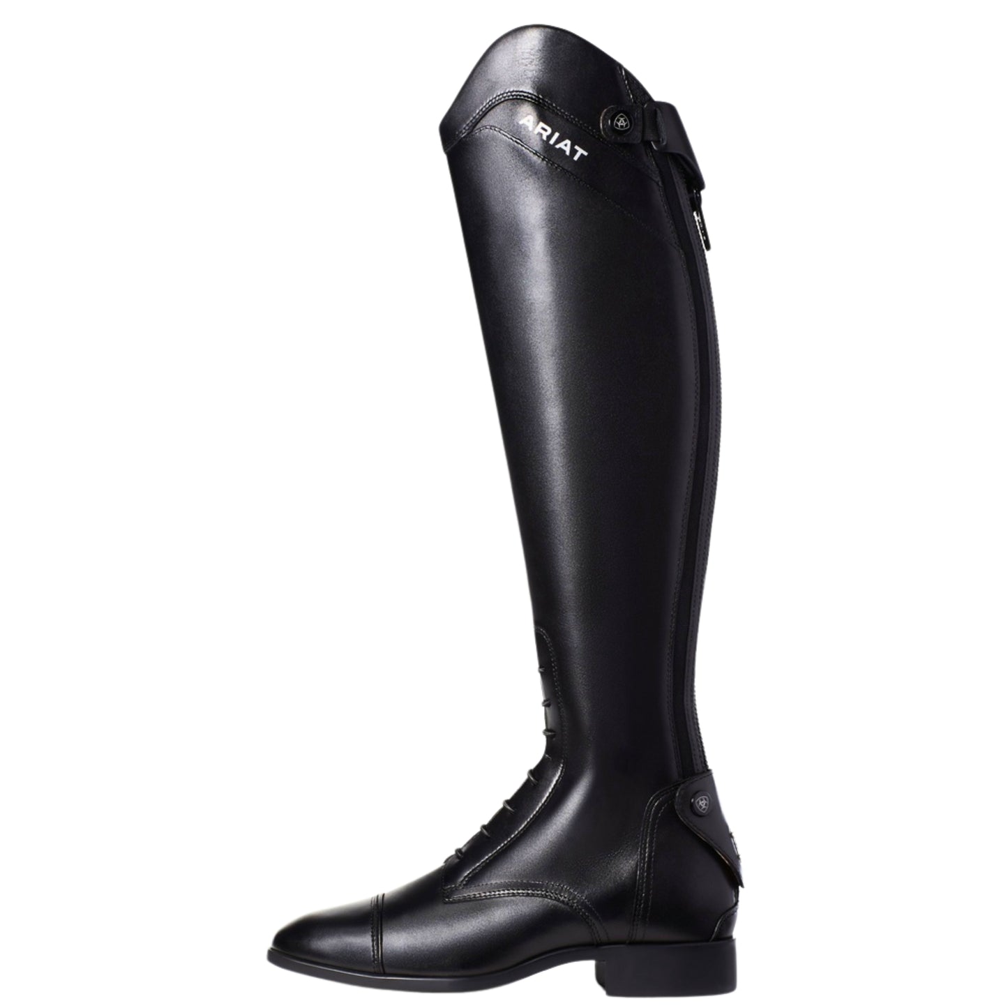 Ariat Palisade Tall Riding Boot Women's (Regular Height)