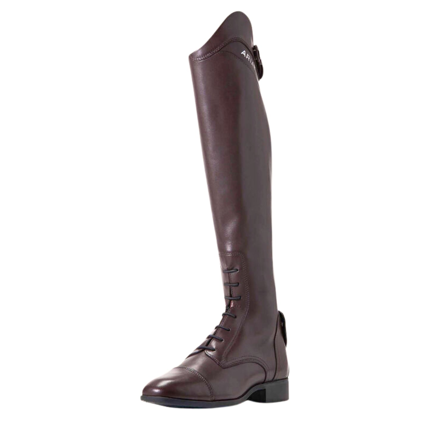Ariat Palisade Tall Riding Boot Women's (Regular Height)