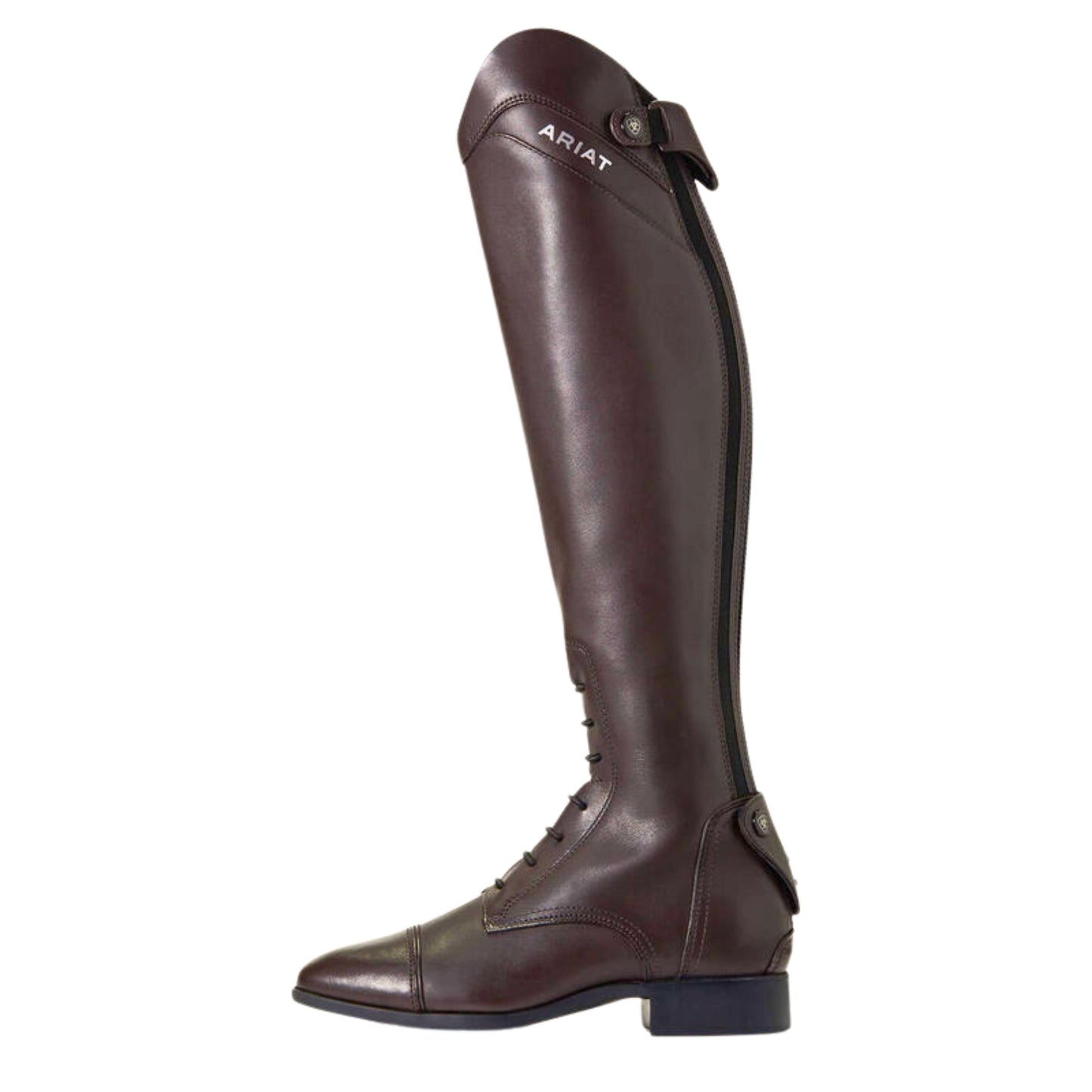 Ariat Palisade Tall Riding Boot Women's (Regular Height)