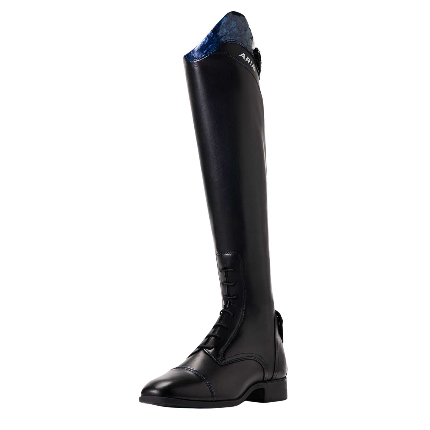 Ariat Palisade Ellipse Tall Riding Boot Women's (Short Height)