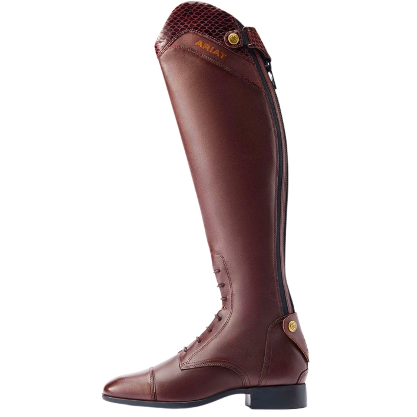 Ariat Palisade Ellipse Tall Riding Boot Women's (Short Height)