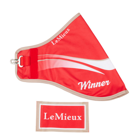 LeMieux Hobby Horse Winners Rug AU25- Red