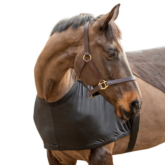 Shires Anti-Rub Stretch Vest