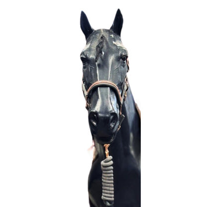 Holmestead Saddlery Clincher Headcollar