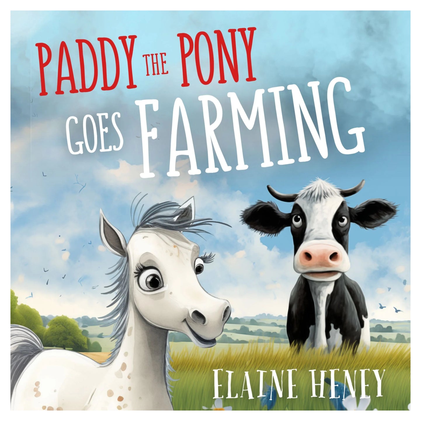 Paddy The Pony Book Series By Elaine Heney