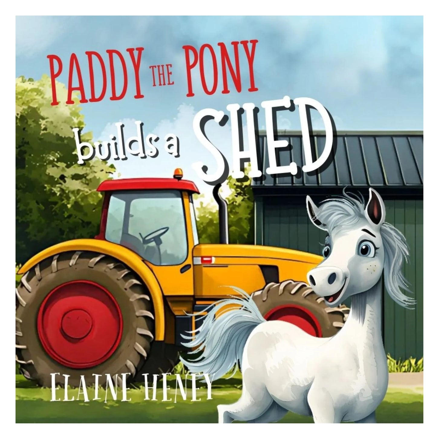 Paddy The Pony Book Series By Elaine Heney