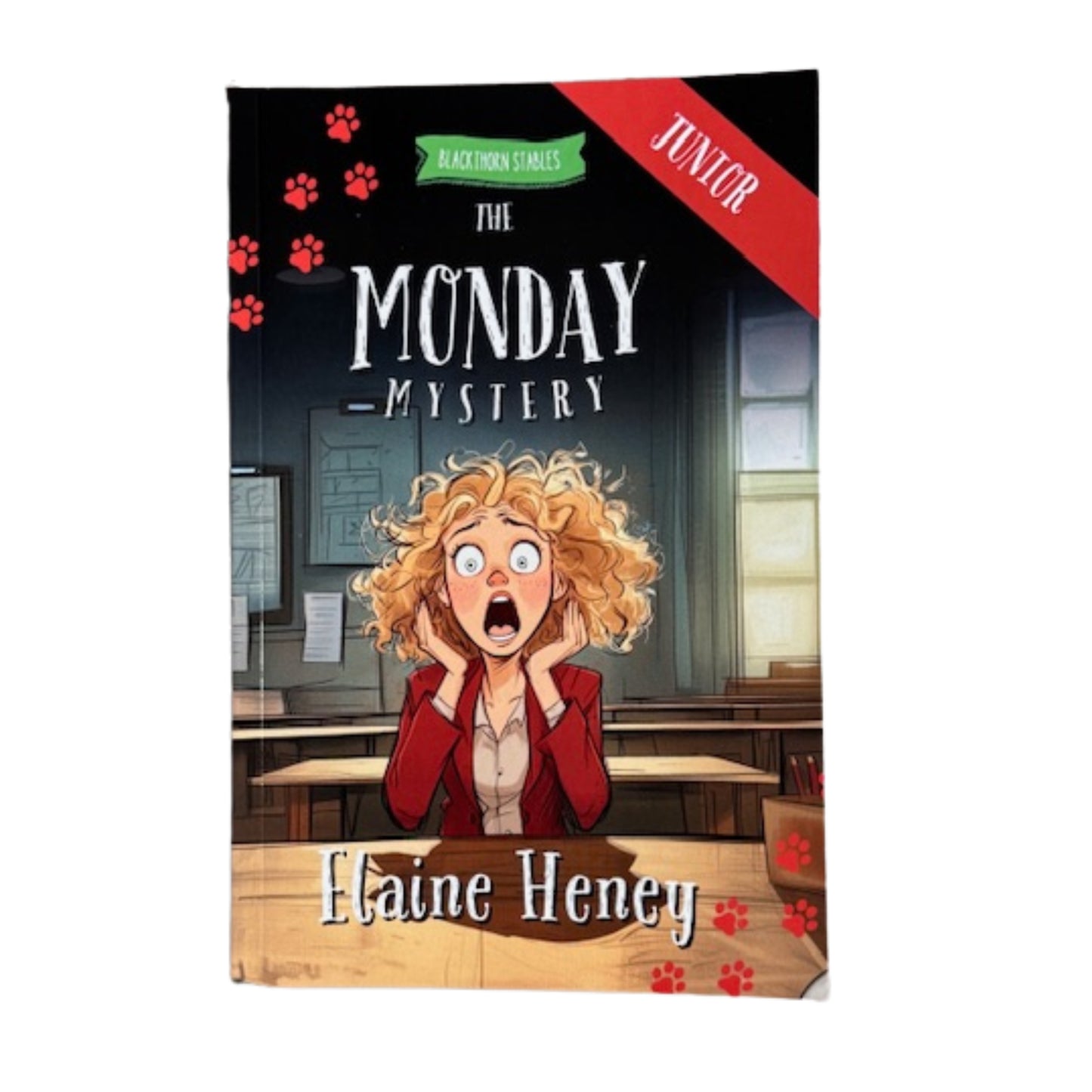 Blackthorn Stables Junior Book Series By Elaine Heney ( Dyslexia Friendly)