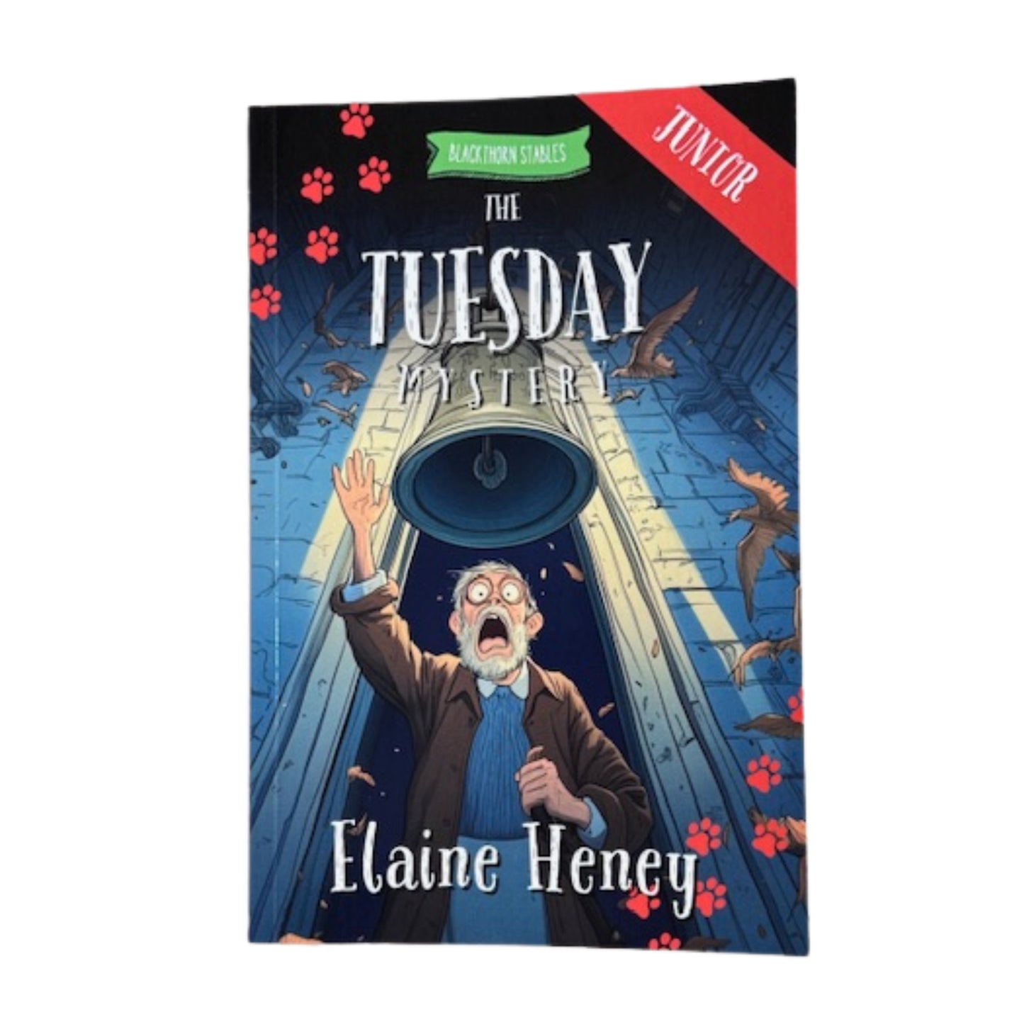 Blackthorn Stables Junior Book Series By Elaine Heney ( Dyslexia Friendly)