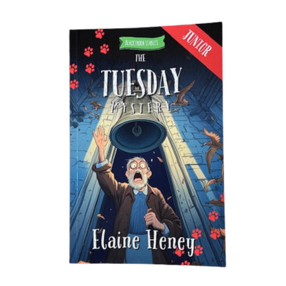 Blackthorn Stables Junior Book Series By Elaine Heney ( Dyslexia Friendly)