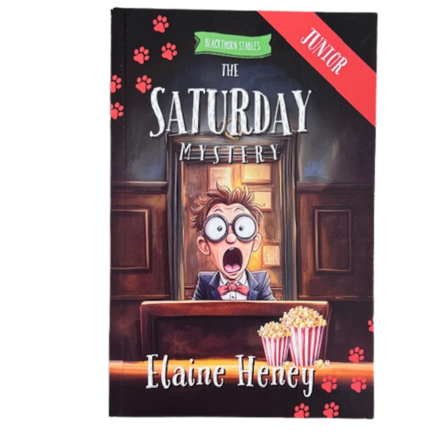 Blackthorn Stables Junior Book Series By Elaine Heney ( Dyslexia Friendly)