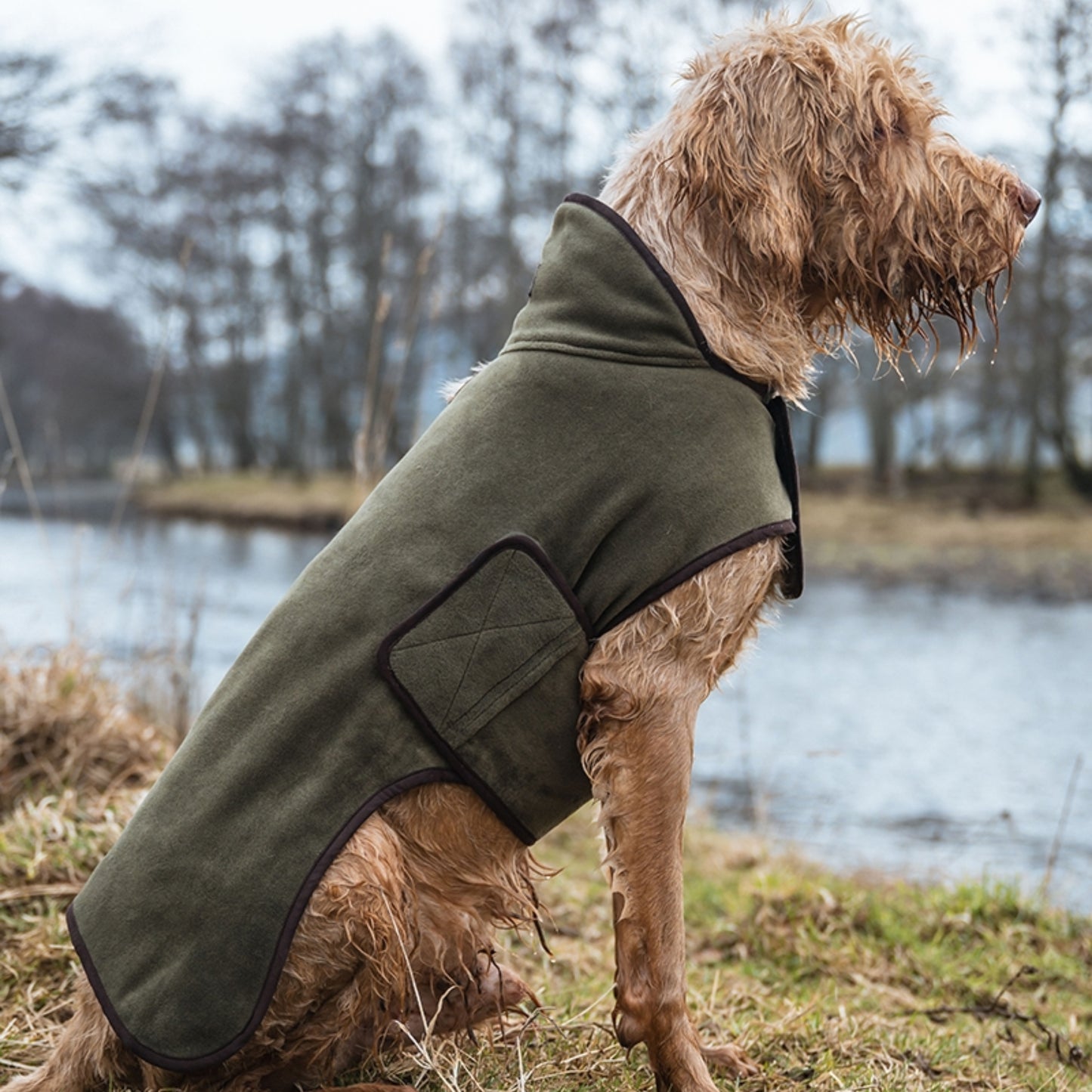 Hoggs Of Fife Stenton Fleece Dog Coat