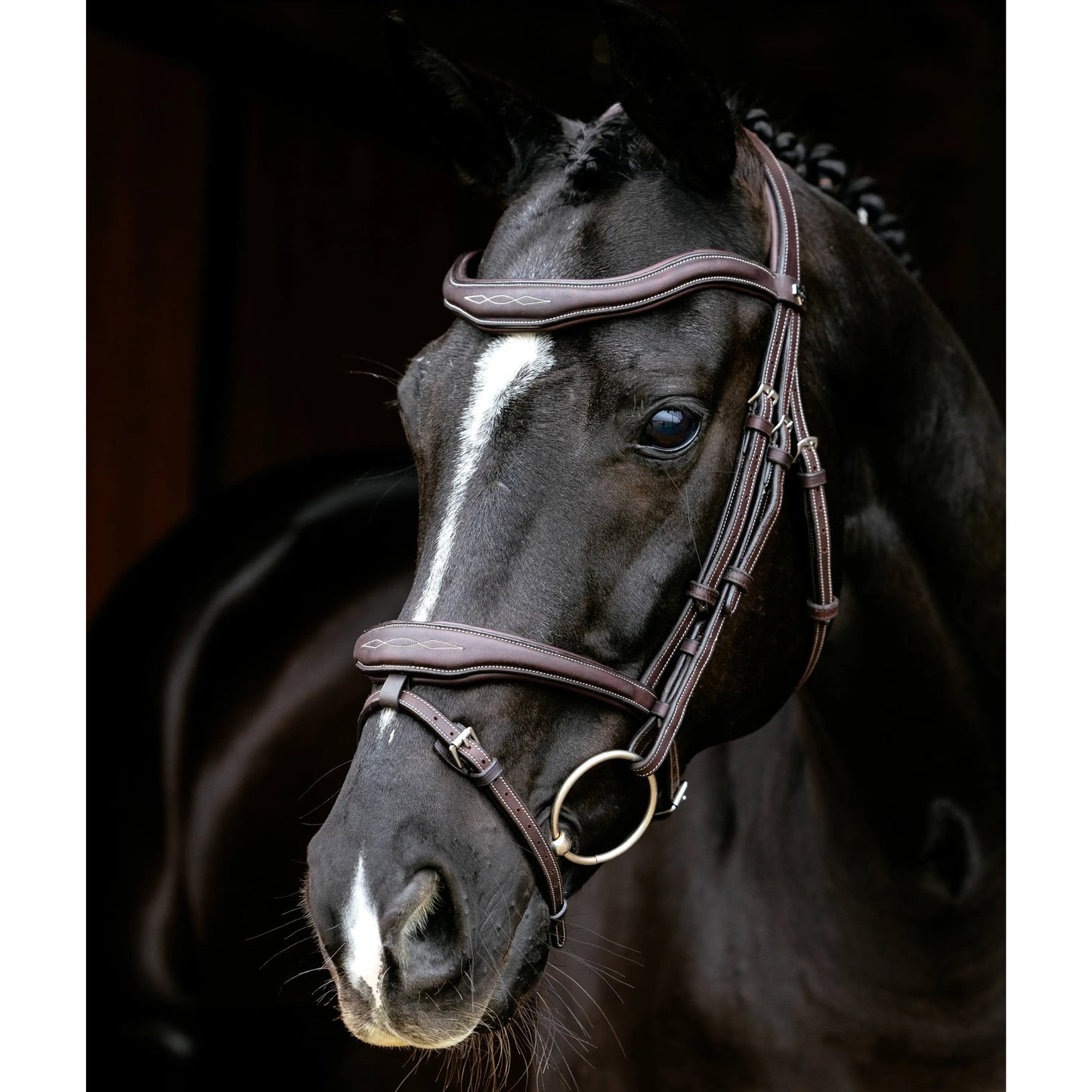 LeMieux Kudos Contour Flash Bridle