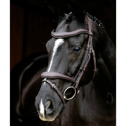 LeMieux Kudos Contour Flash Bridle
