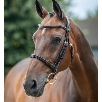 LeMieux Arika Cavesson Bridle