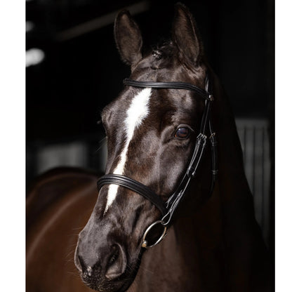 LeMieux Arika Cavesson Bridle