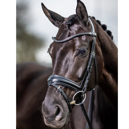 LeMieux Kudos Classic Dressage Bridle
