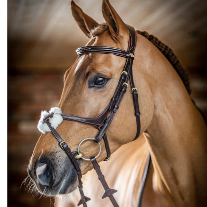 LeMieux Kudos Grackle Bridle
