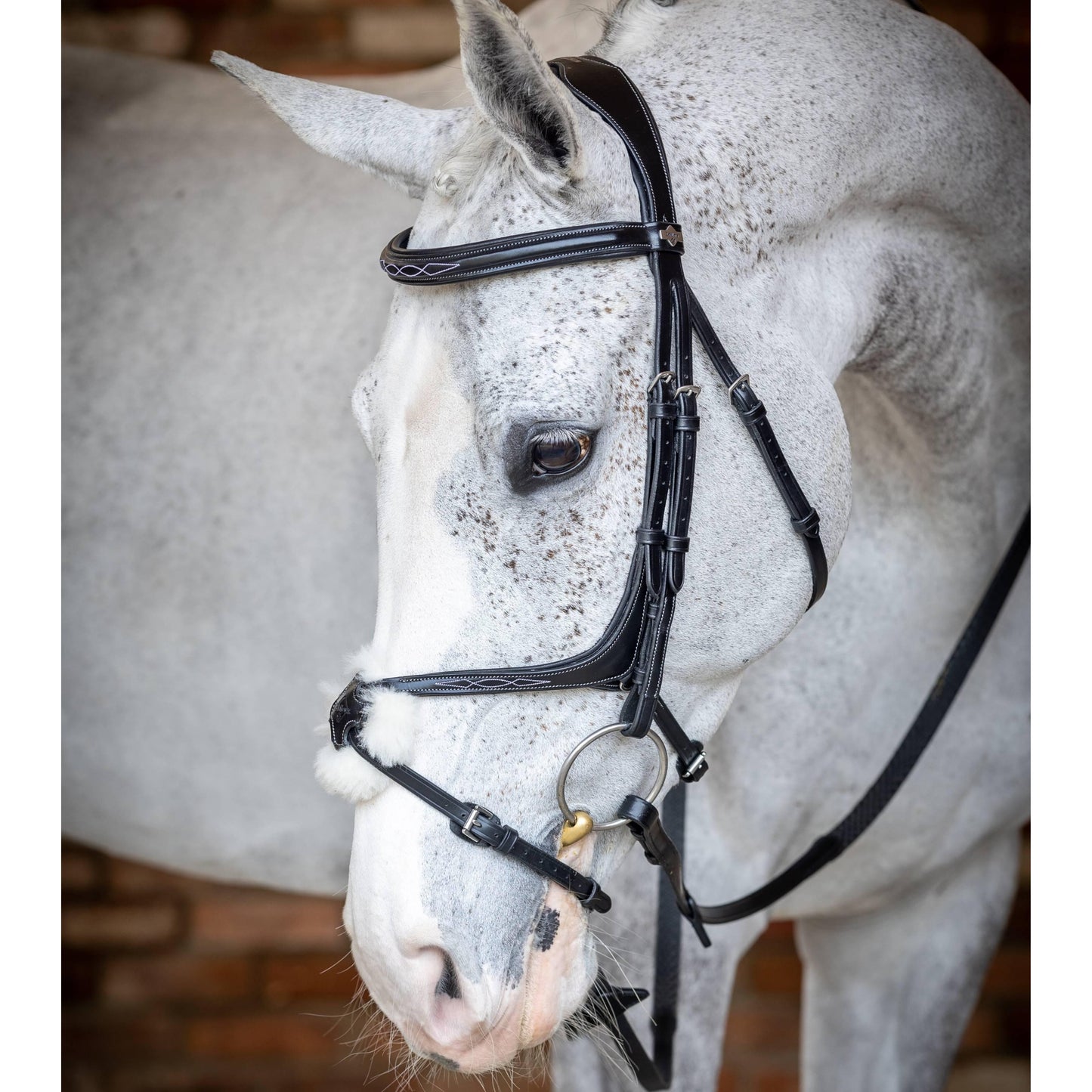 LeMieux Kudos Grackle Bridle