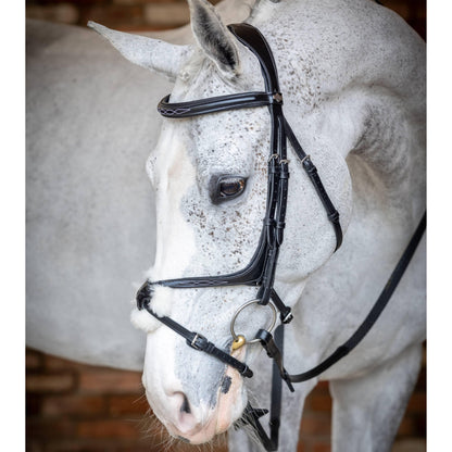 LeMieux Kudos Grackle Bridle