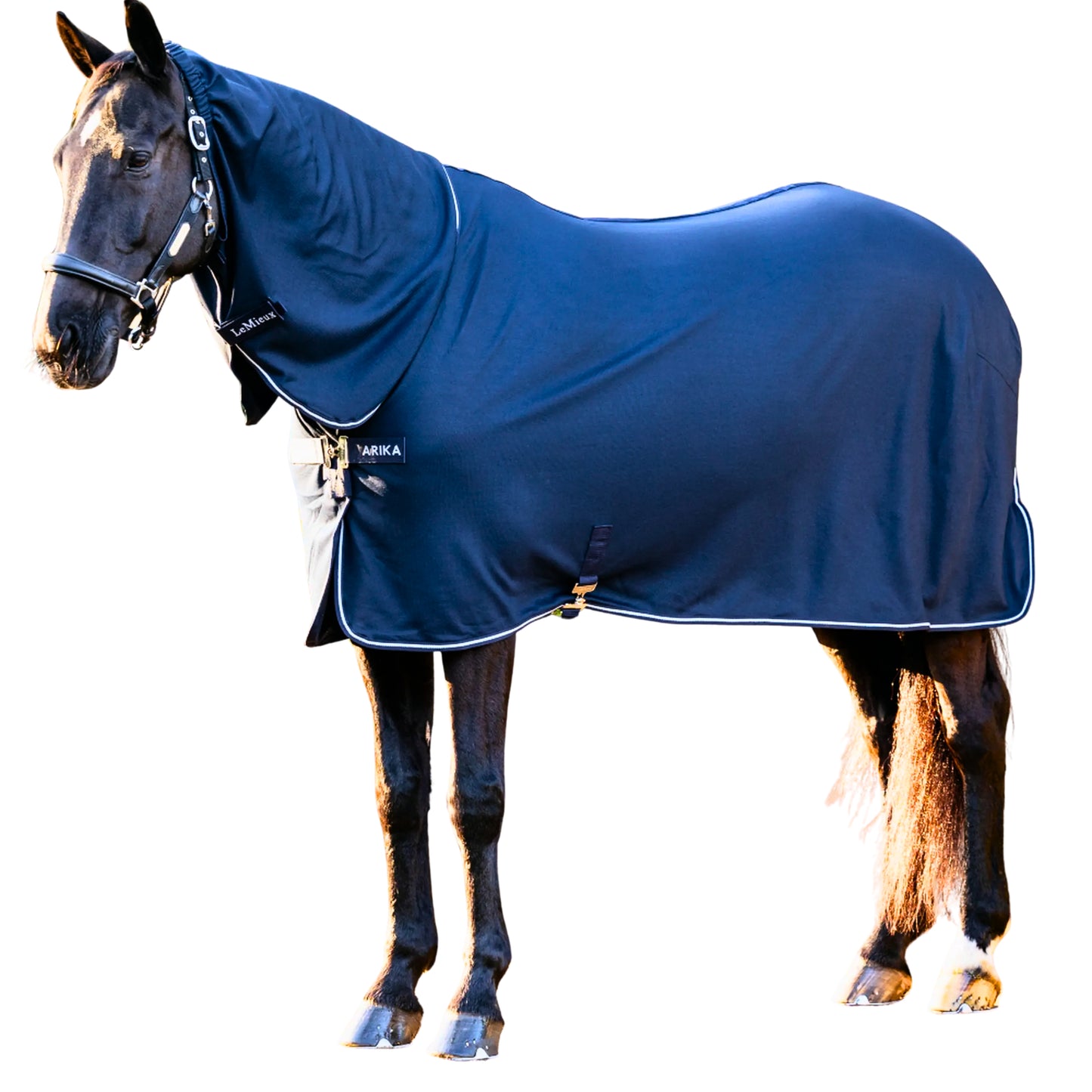 LeMieux Arika DryEase Rug