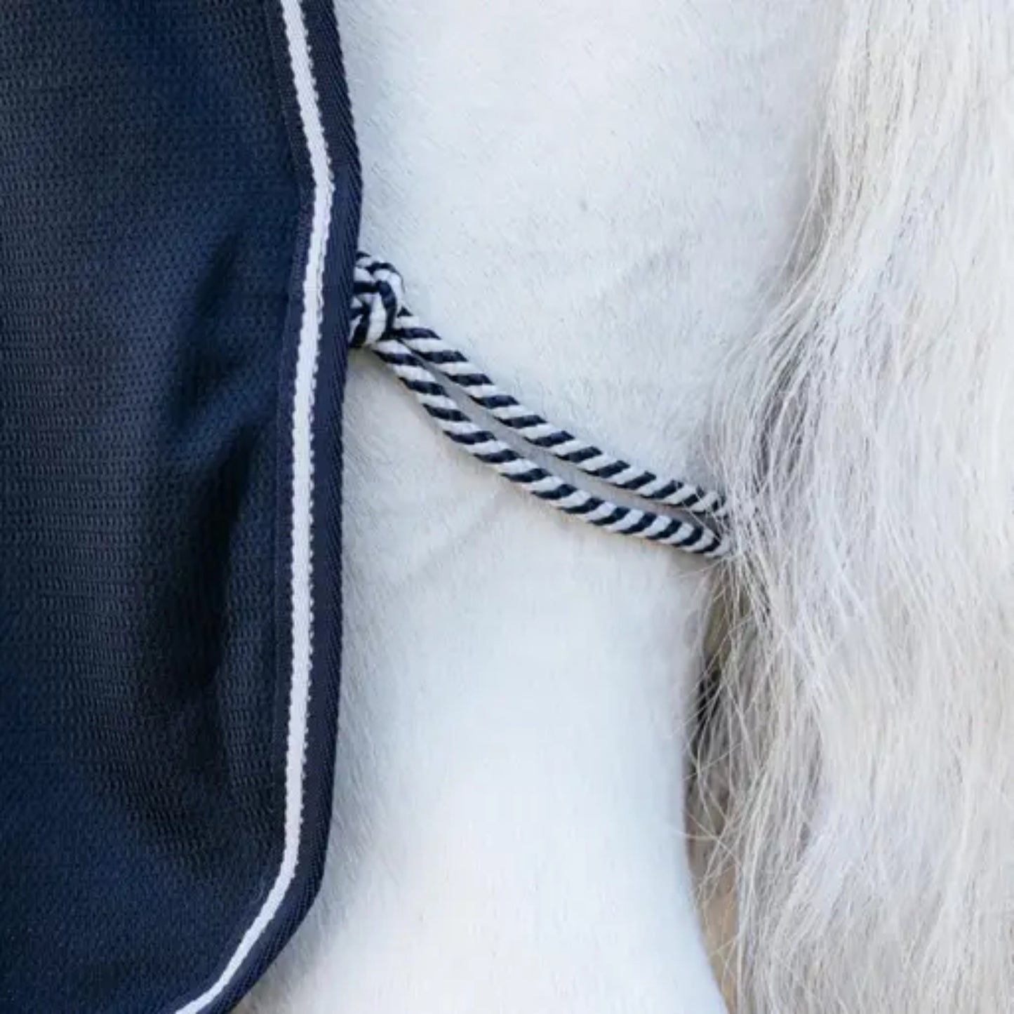 LeMieux Arika DryEase Rug