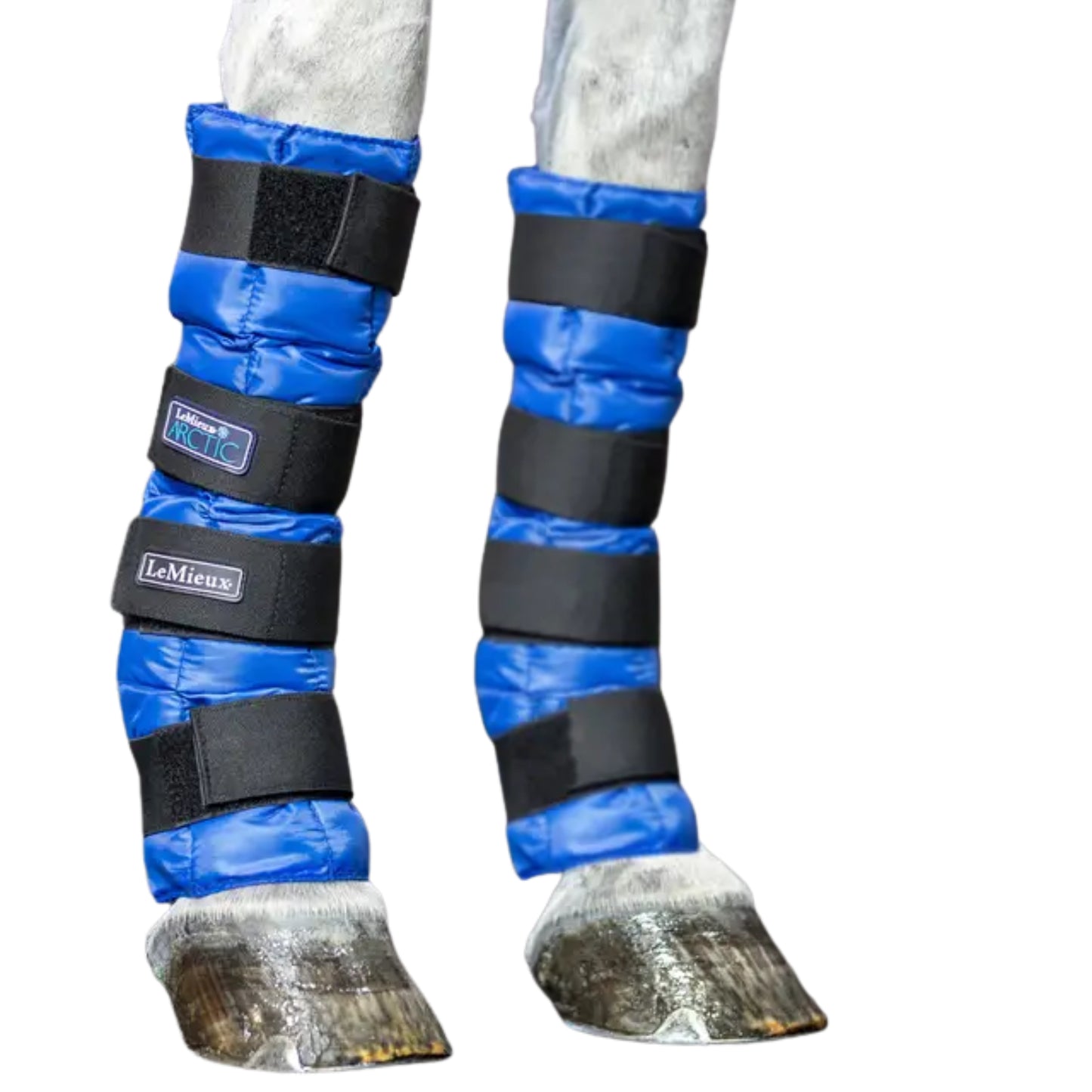 LeMieux Artic Ice Boot