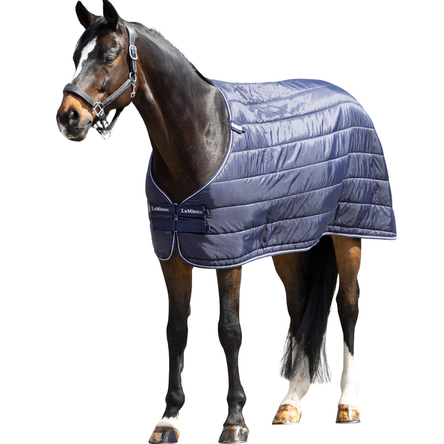 LeMieux Rug Liner 200g (New Trim)