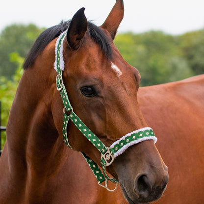 QHP Christmas Headcollar