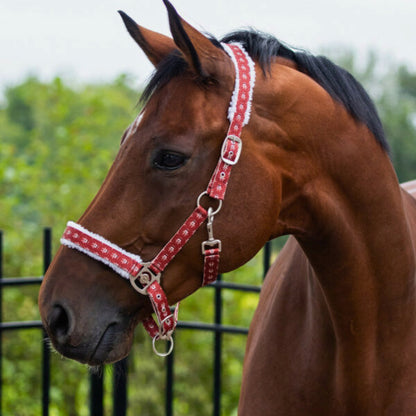 QHP Christmas Headcollar