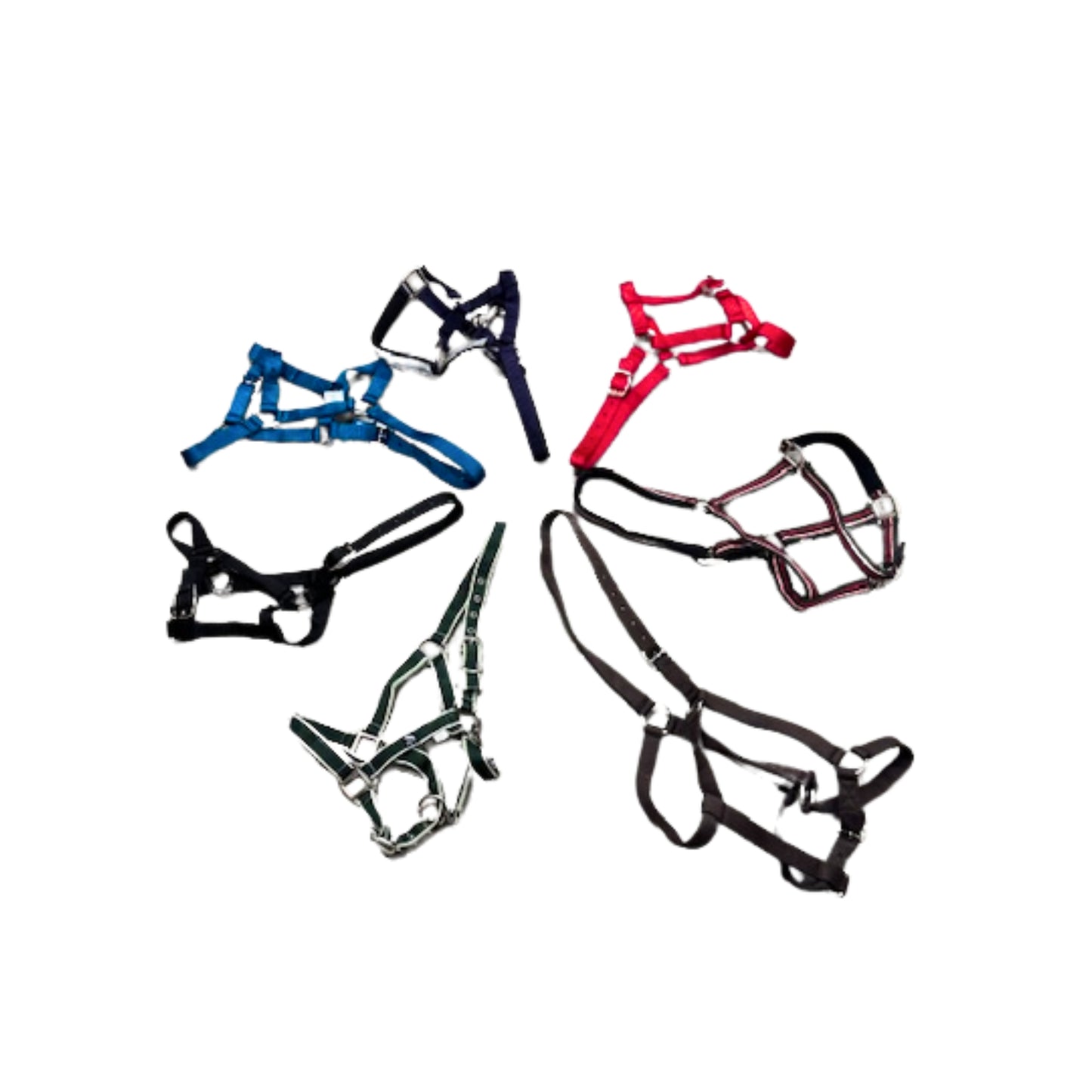 Crazy Pony Headcollar Deal