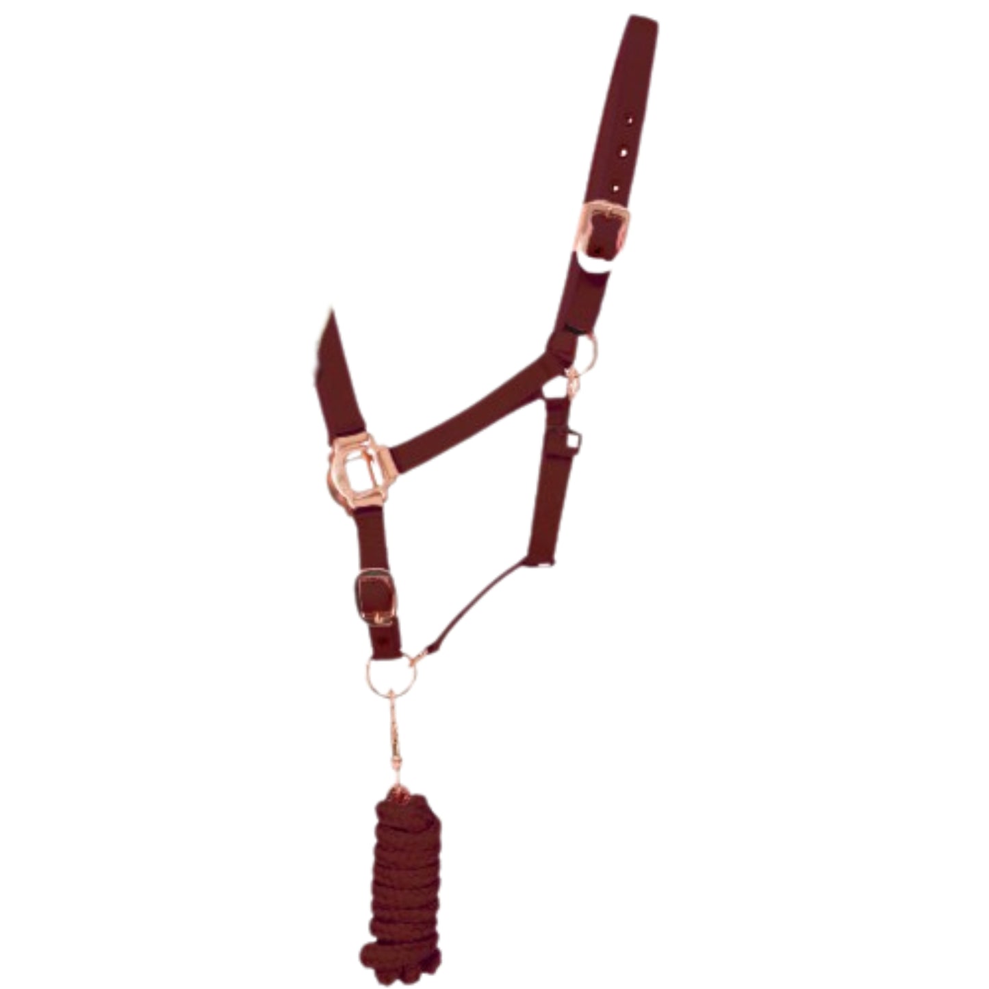 Rose Gold Headcollar & Leadrope