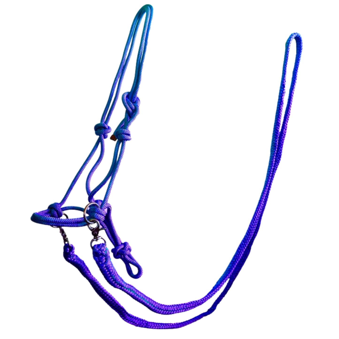 Rope Halter with Reins