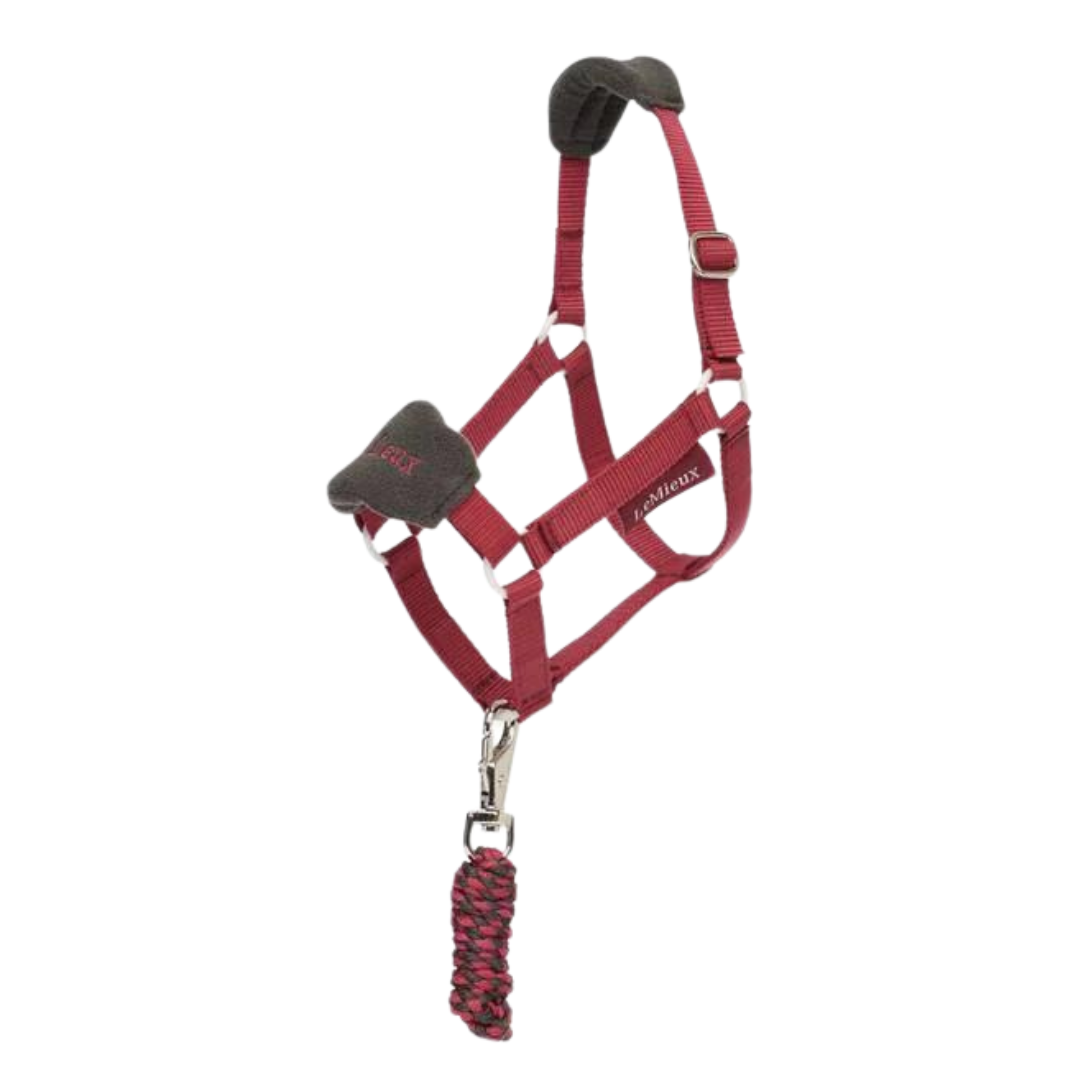 LeMieux Hobby Horse Vogue Headcollar & Leadrope