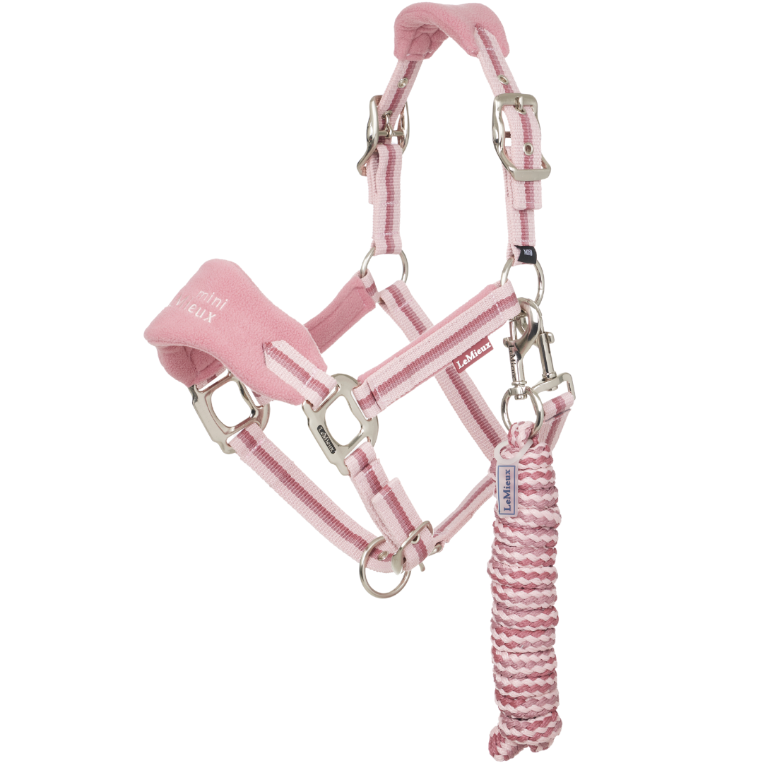 Lemieux Mini Vogue Headcollar & Leadrope