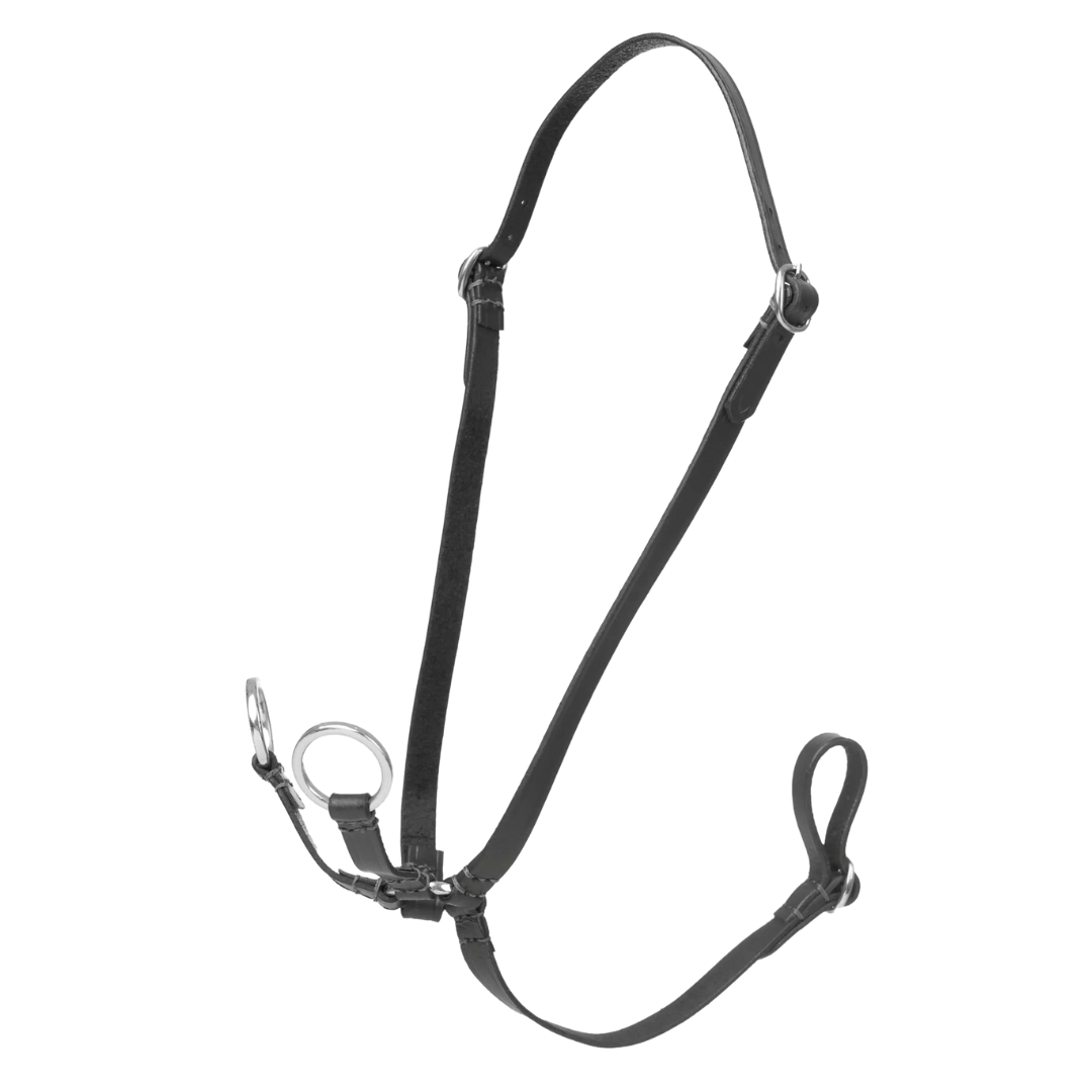 LeMieux Hobby Horse Running Martingale
