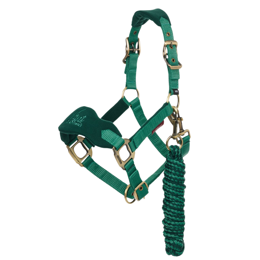 Lemieux Mini Vogue Headcollar & Leadrope