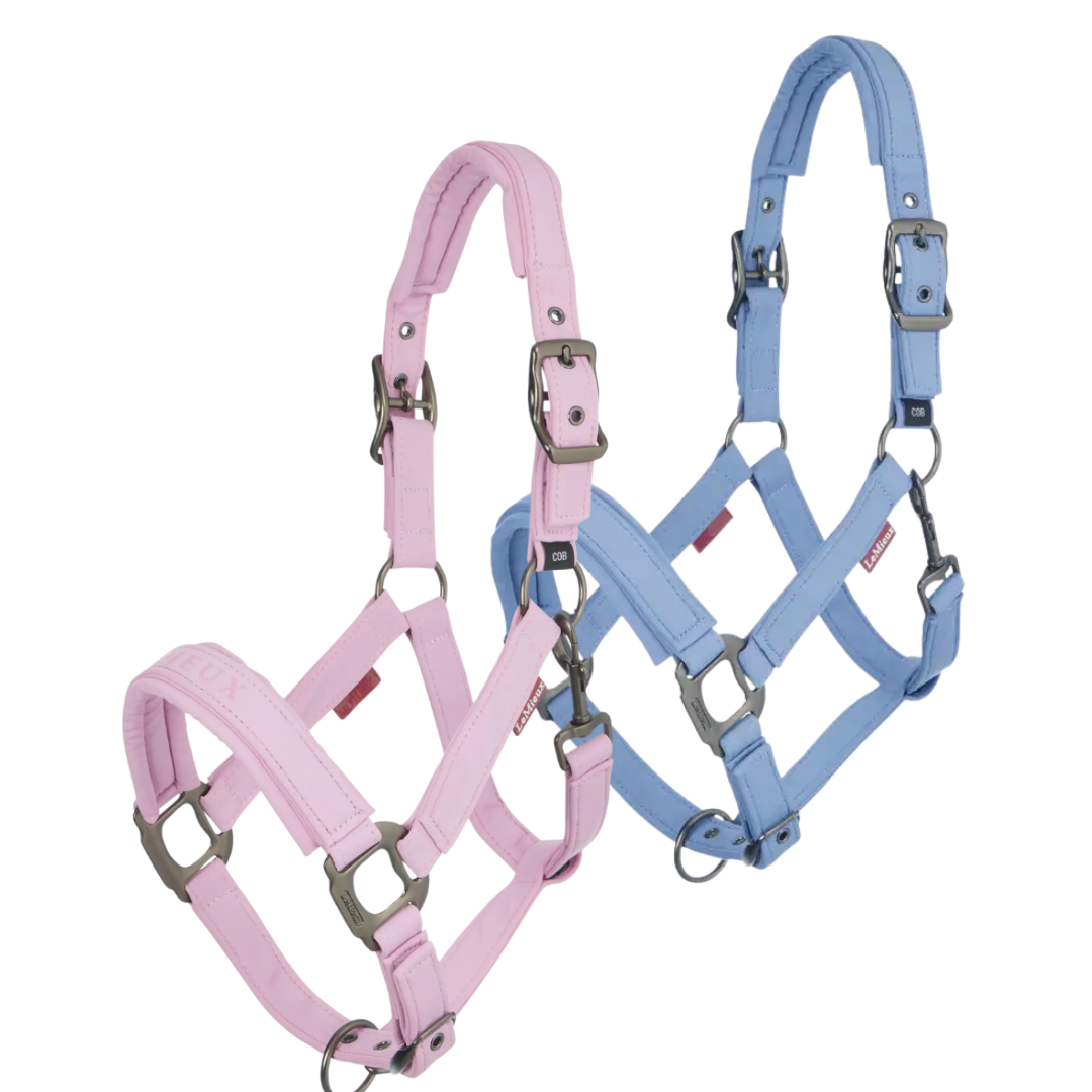 LeMieux Essence Headcollar