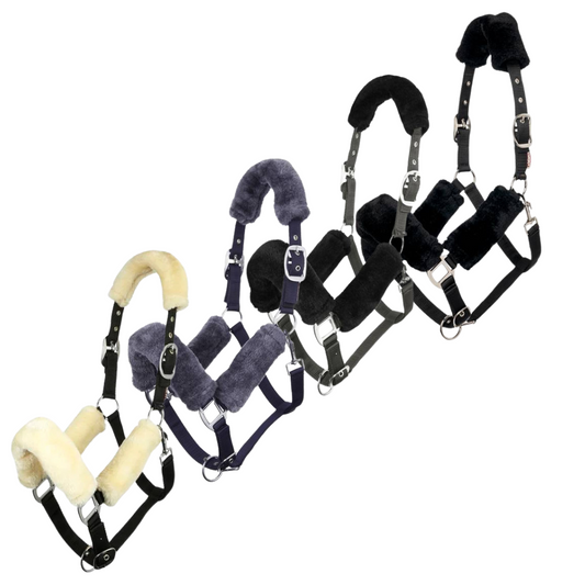 Lemieux Comfort Headcollar