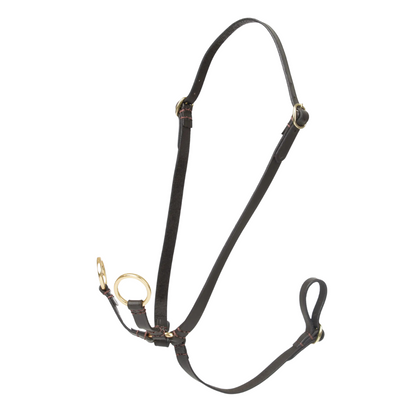 LeMieux Hobby Horse Running Martingale
