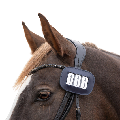 QHP Number holder Modeste square