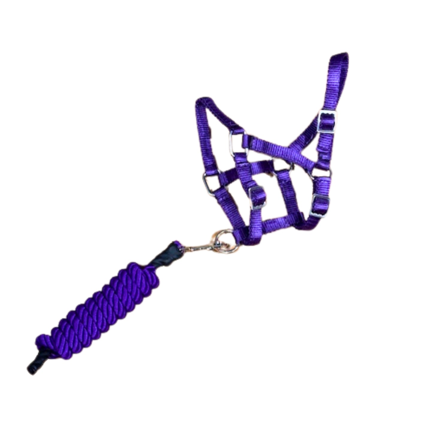 Holmestead Saddlery Hobby Horse Headcollar & Leadrope