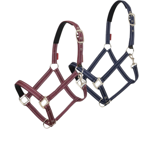Lemieux Neoprene Yard Headcollar