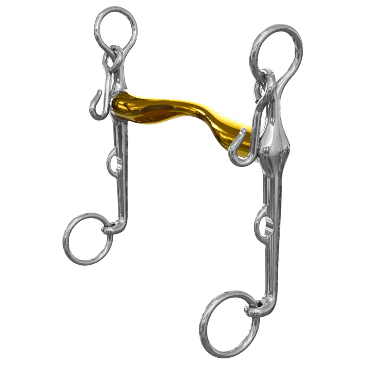 Neue Schule Aachen Weymouth Bit